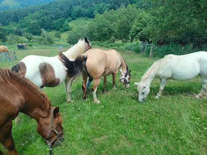 Le Poney Cernaise, Centre Equestres à Saint-Victor-Montvianeix