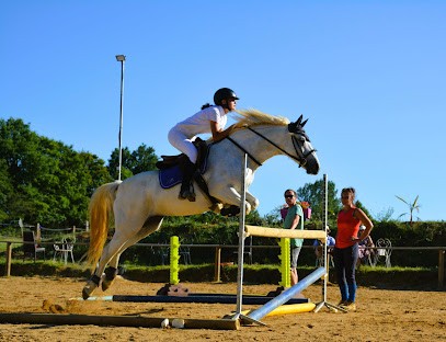 Écurie Les Crins De Lhommaize, Pension pour Chevaux à Lhommaizé