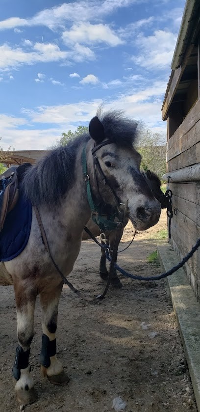 Les Ecuries De Patchanka, Centre Equestres à Pont-Saint-Esprit