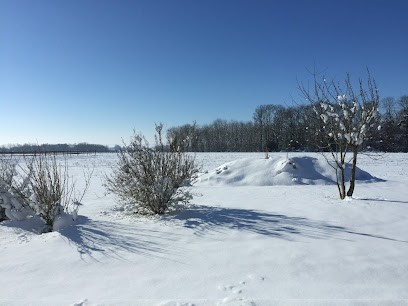 Écurie Naveil Riding, Centre Equestres à Naveil