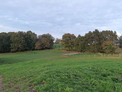 Écurie des 3 châteaux, Pension pour Chevaux à Créon