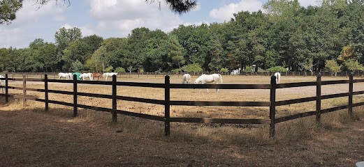 Domaine De Gargassan, Centre Equestres à Saint-Vivien-de-Médoc