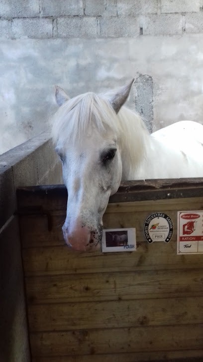PONEY CLUB BLUE NASH, Centre Equestres à Plouarzel