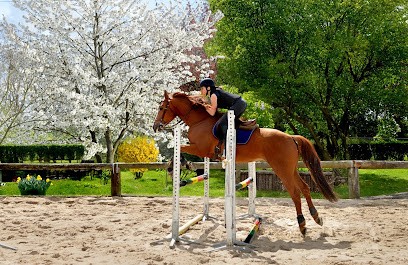 Écuries De Villecresnes Pension Chevaux Poneys, Pension pour Chevaux à Villecresnes