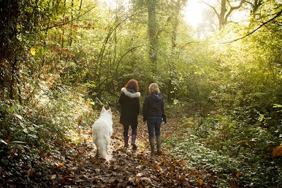 Le Domaine D'olisun, Centre Equestres à Longuenée-en-Anjou