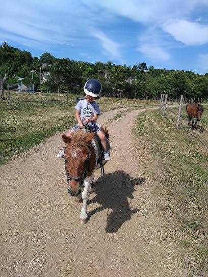 L ETRIER CASTELORIEN, Centre Equestres à Beaumont-Pied-de-Boeuf