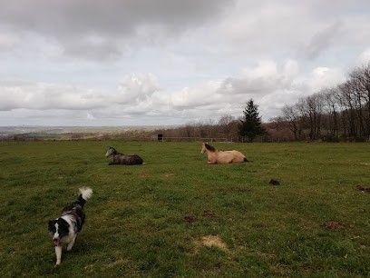 Élevage De Monseigne, Pension pour Chevaux à Agen-d'Aveyron