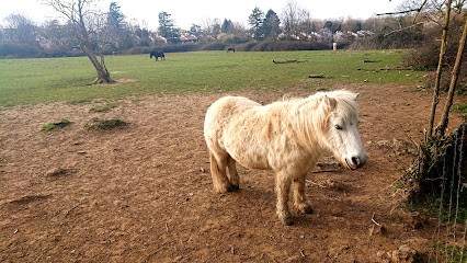 Ecuries De Trousseau, Centre Equestres à Ris-Orangis