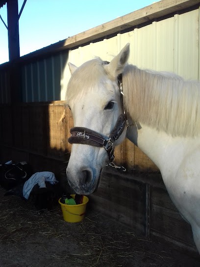 Equestrian Club De Saverne, Centre Equestres à Saverne