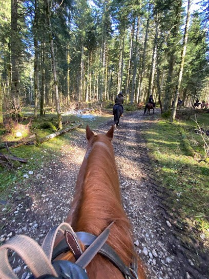 Ranch De La Seignette, Centre Equestres à Malbuisson