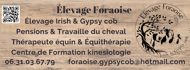 Élevage Foraoise Pension Chevaux Pension Pour Chevaux à Saint-Martin-de-Juillers