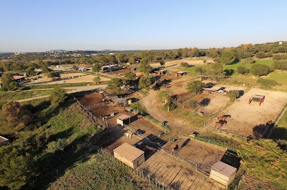 Poney Club Du Rêve, Centre Equestres au Crès