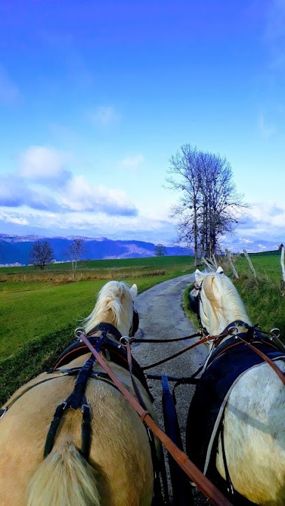 Les chevaux d'Az, Pension pour Chevaux à Merlas