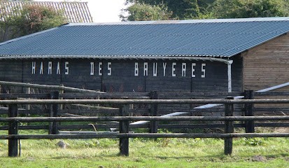 Stud Des Bruyères, Centre Equestres à Saint-Evroult-Notre-Dame-du-Bois