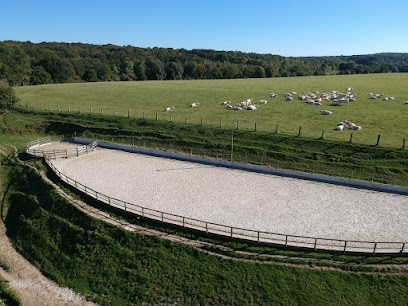 Les écuries De La Laire, Pension pour Chevaux à Bréançon