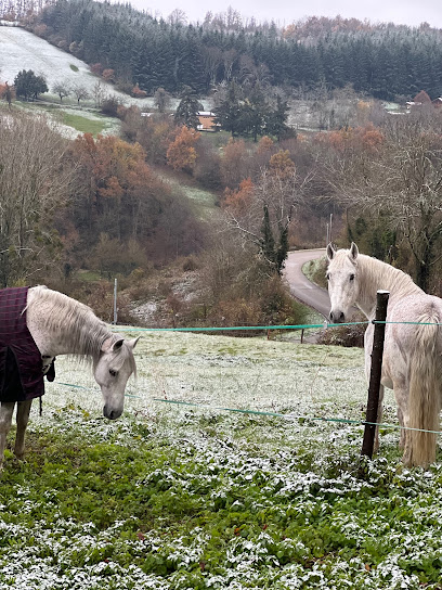 Domaine Des Essen'ciel, Centre Équestre à Valherbasse