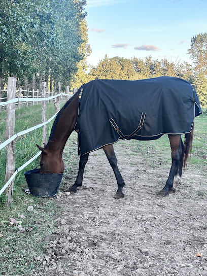 Écurie Du Gué, Pension Pour Chevaux à Garrey