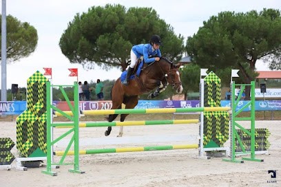 Elevage de L'Astre, Centre Equestres à Angrie