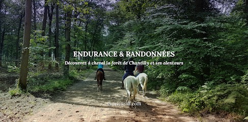 Écuries ALF - Endurance Et Randonnées, Centre Equestres à Fleurines