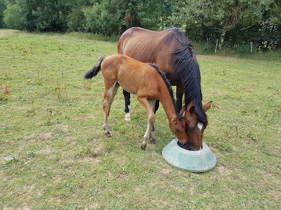 Domaine de Champloué, Centre Equestres à Foissy
