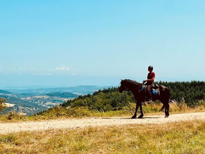 Home Des Poneys, Centre Equestres à Satillieu