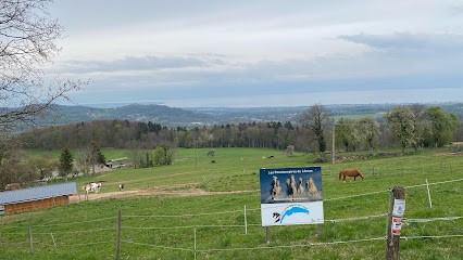 Détraz Denis Les Pensionnaires Du Leman, Pension pour Chevaux à Orcier