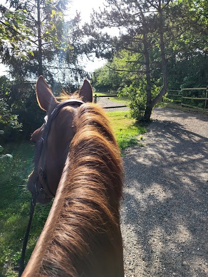 Haras Dell'Alba, Centre Equestres à Saint-Éliph