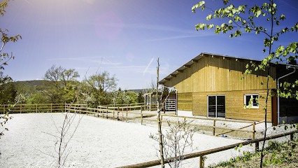 Écurie Active Lo Vardiafs, Pension pour Chevaux à Argonay