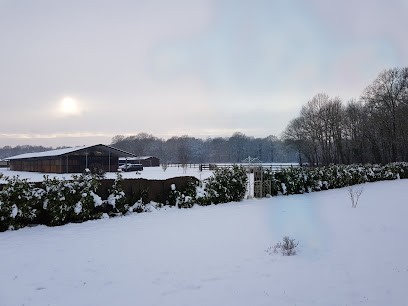 Ecurie Des Allois, Pension pour Chevaux à Châtres