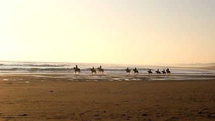 Ecuries Du Moulin Moreau, Centre Equestres à La Flotte