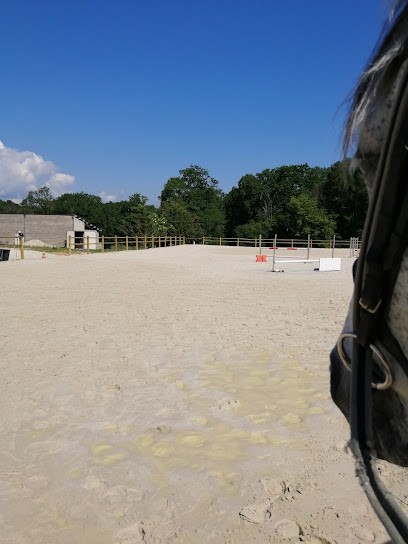 Les Ecuries du Roque’d’Or, Centre Equestres à Vievy-le-Rayé