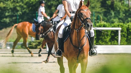ECURIE DU CAMBOU, Centre Equestres à Montaren-et-Saint-Médiers