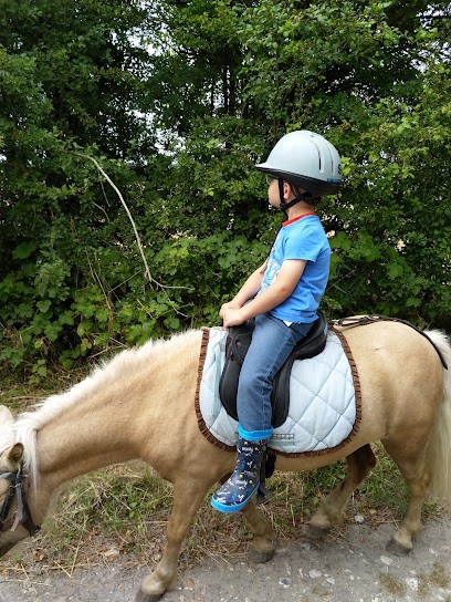 Pony Club Marquenterre, Centre Equestres à Quend