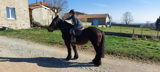 Ecurie Barbarin, Centre Equestres à Souternon