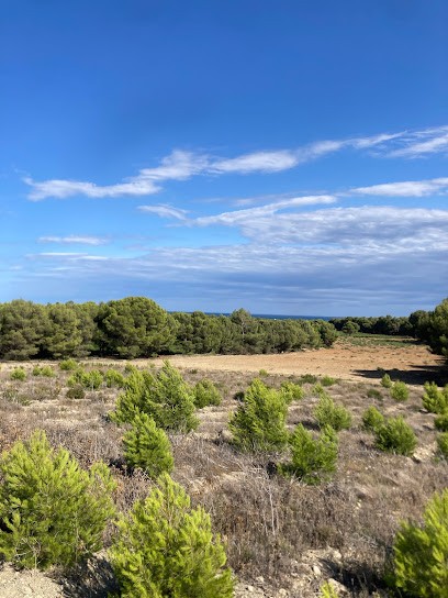 Centre Tourisme Equestre Les Ayguades, Centre Equestres à Gruissan