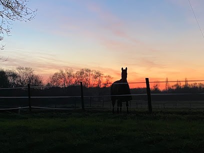 Les Ecuries Educ Horse, Pension pour Chevaux à Corme-Écluse