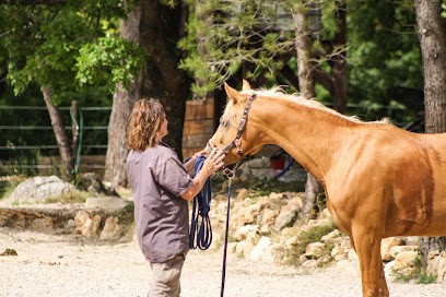 Les Ecuries De L'O, Centre Equestres à Tourrettes