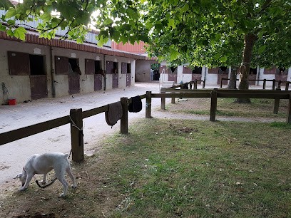 Centre Equestre L'Etrier Fontenaisien, Centre Equestres à Fontenay-le-Comte