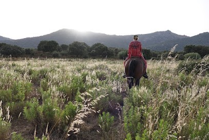 Equestrian Center Saint Francois - La Tribu De Philia, Centre Equestres à Monticello