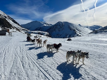 Equestrian Center & Dogs De Traineau - Souffle, Écuries Mesas, Centre Equestres à Huez