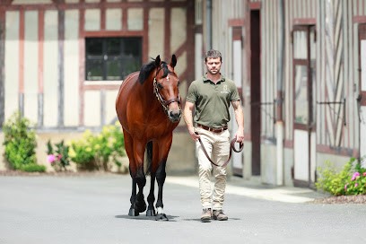 Haras De Beaumont, Centre Equestres à Vauville