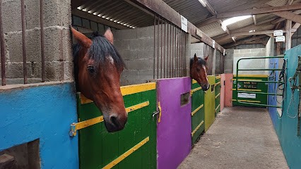 GUILERS EQUITATION, Centre Equestres à Guilers