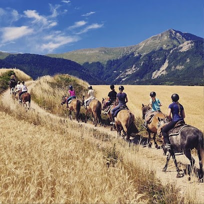 Alpes Cheval : Voyage et Rando équestre, Centre Equestres à Saint-Firmin