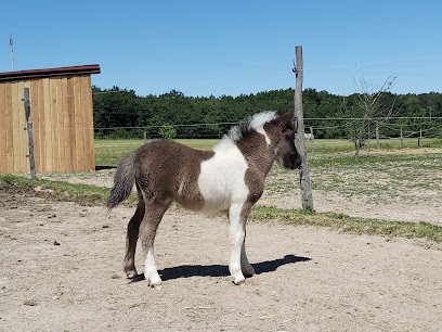 Ecurie LABCANI, Pension pour Chevaux à Loché-sur-Indrois