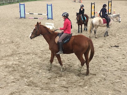 Écurie De La Sevenne, Centre Equestres à Luzinay