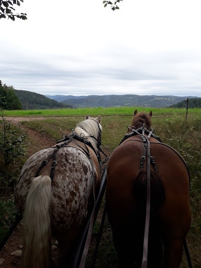 Equi'val - Maroquinerie / Balades et Randonnées à cheval, Centre Equestres au Tholy