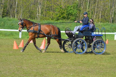 Écurie Biechel, Pension pour Chevaux à Zellwiller
