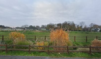 Ecurie Du Château Gallouën, Centre Equestres aux Authieux-sur-le-Port-Saint-Ouen
