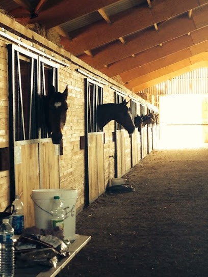 Pension Pour Chevaux - Ecuries De La Grange Blanche, Pension pour Chevaux à Pernes-les-Fontaines
