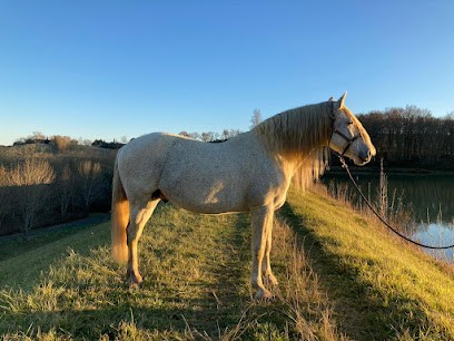 Elevage Darmagnac, Pension pour Chevaux à Lupiac